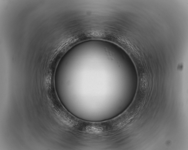 X0000096140739200801251041