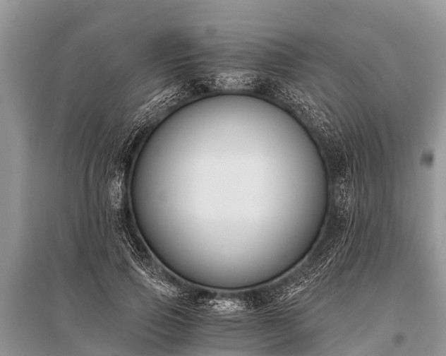 X0000096140741200801251041