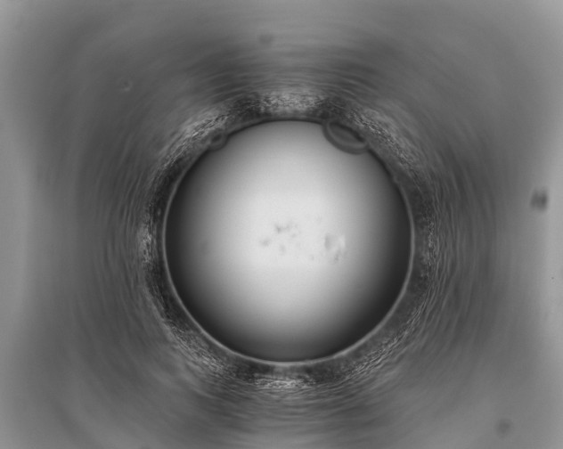 X0000096140743200801251041