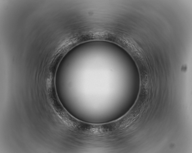 X0000096140744200801251041