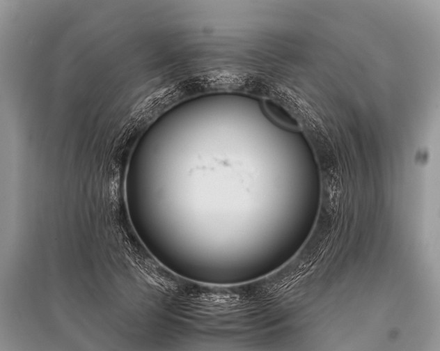 X0000096140745200801251041
