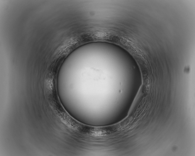 X0000096140746200801251041