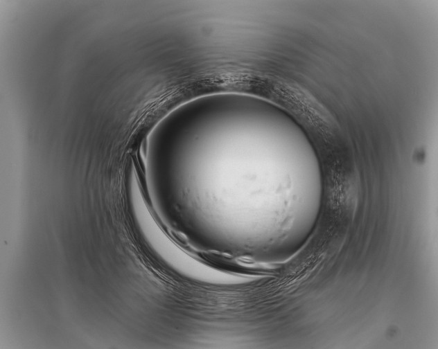 X0000096140748200801251041