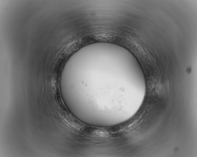 X0000096140749200801251041