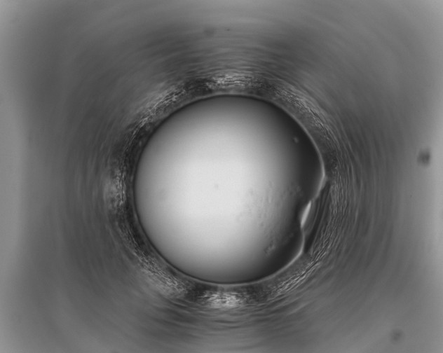 X0000096140751200801251041