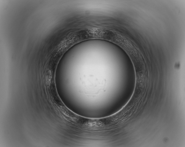 X0000096140752200801251041