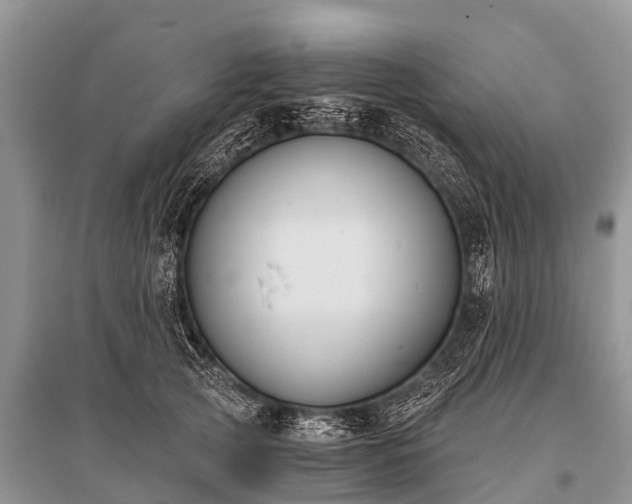 X0000096140753200801251041