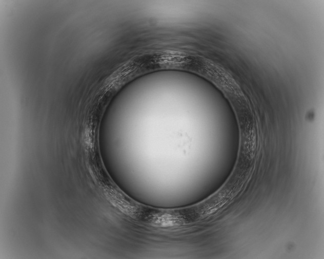 X0000096140755200801251041