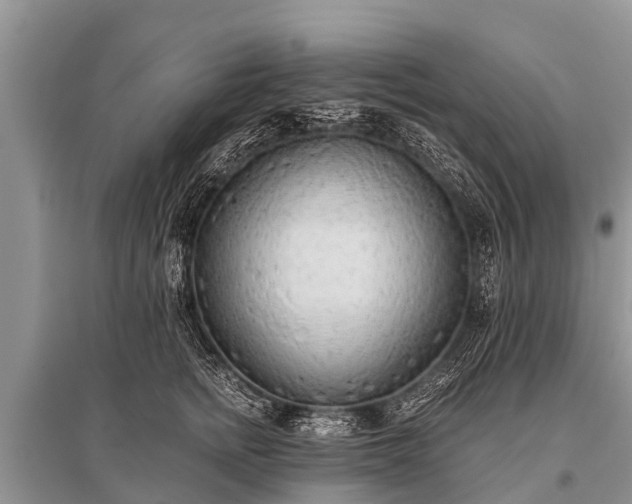 X0000096140758200801251041