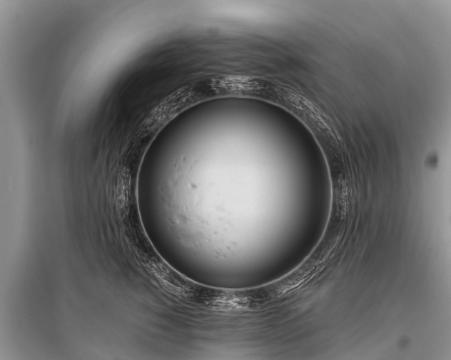 X0000096140760200801251041