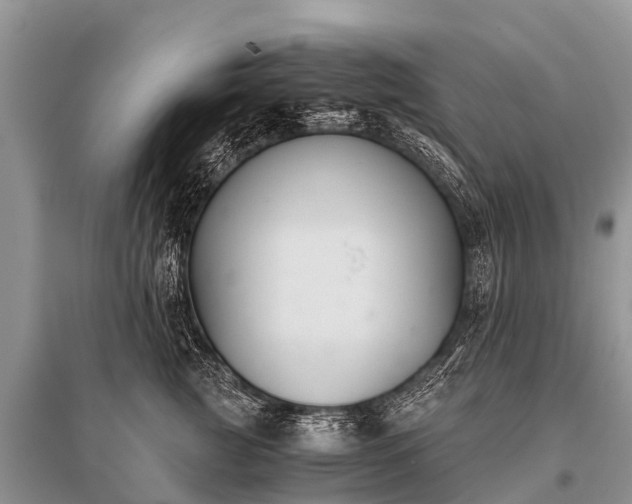 X0000096140761200801251041