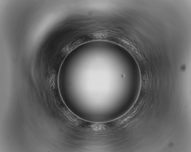 X0000096140762200801251041