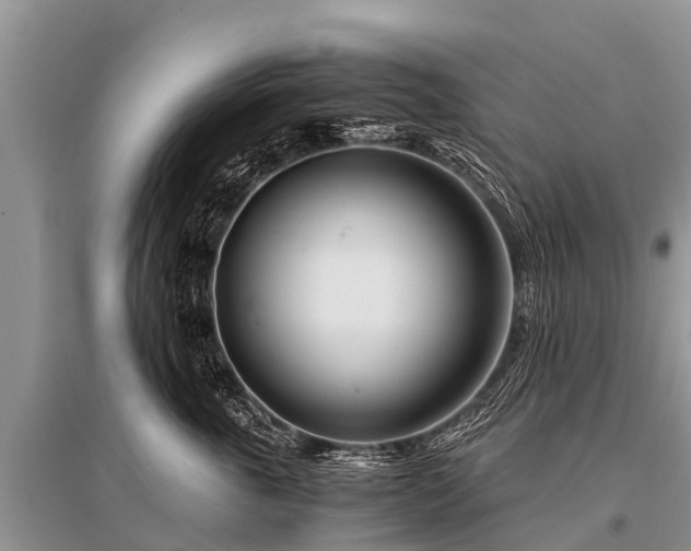 X0000096140763200801251041