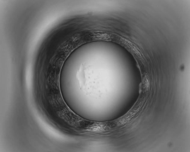 X0000096140764200801251041