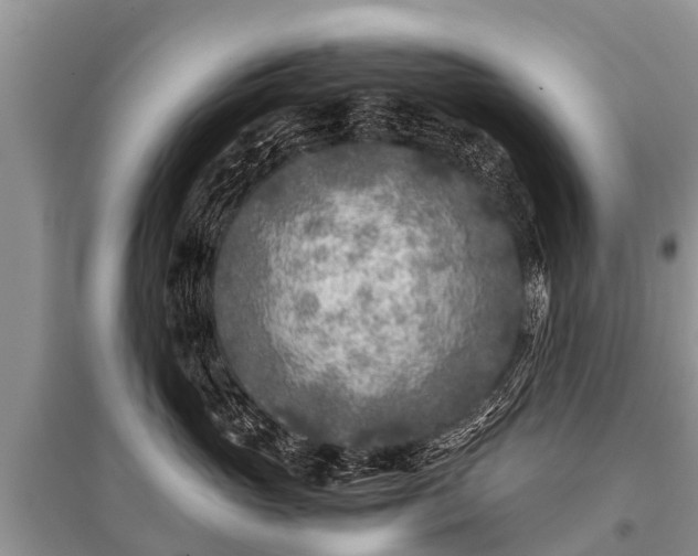 X0000096140765200801251041