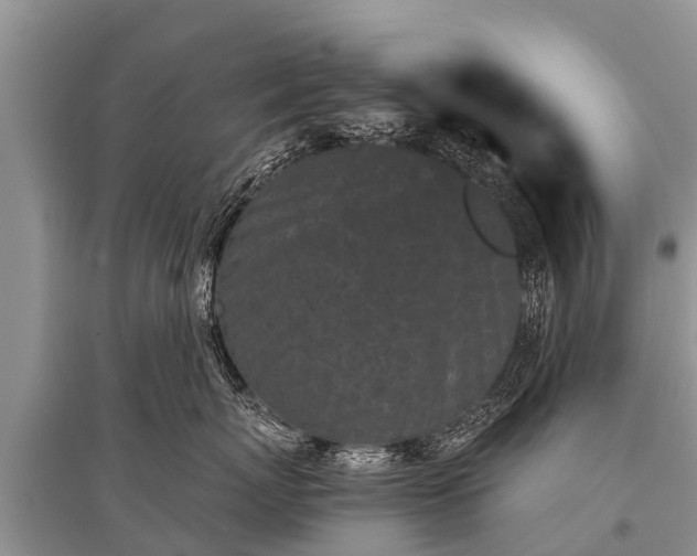 X0000096140767200801251041