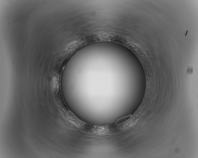 X0000096140768200801251041