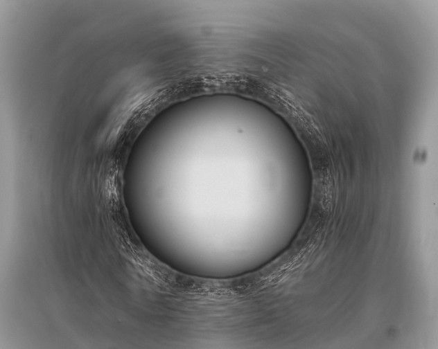 X0000096140770200801251040