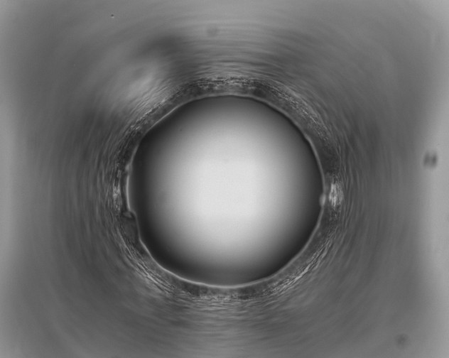 X0000096140771200801251040