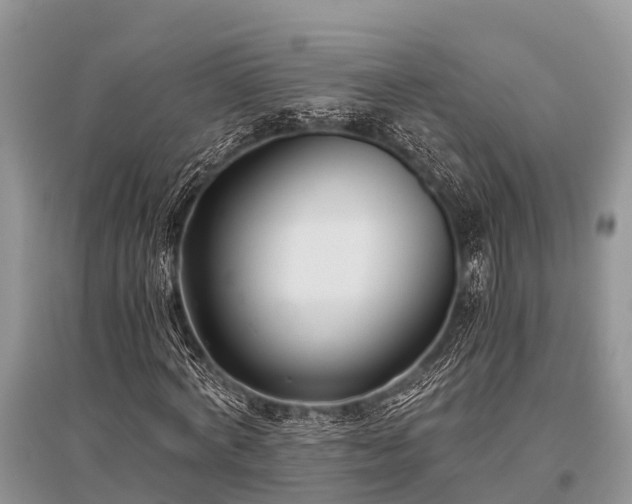 X0000096140772200801251040
