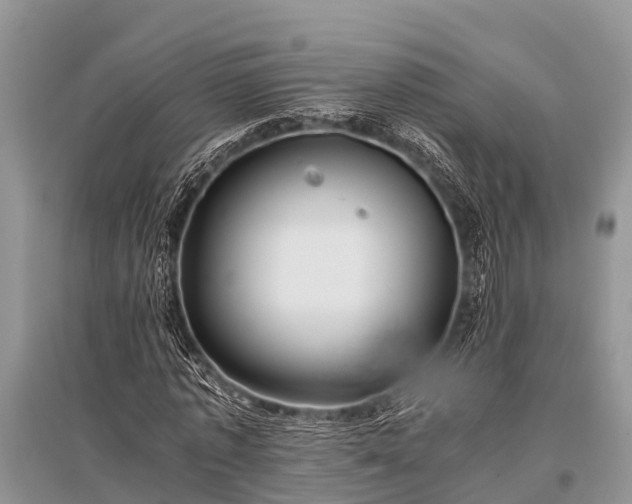 X0000096140773200801251040