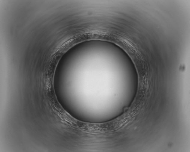 X0000096140774200801251040