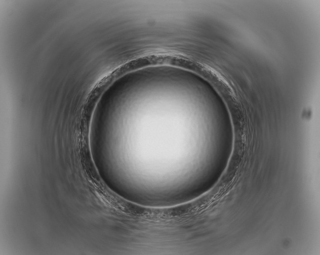 X0000096140775200801251040