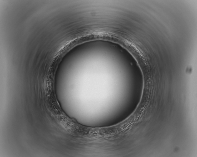 X0000096140776200801251040