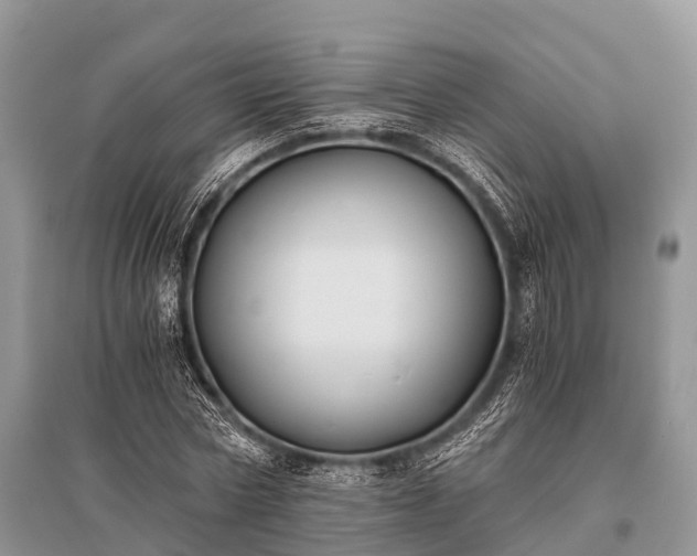X0000096140778200801251040