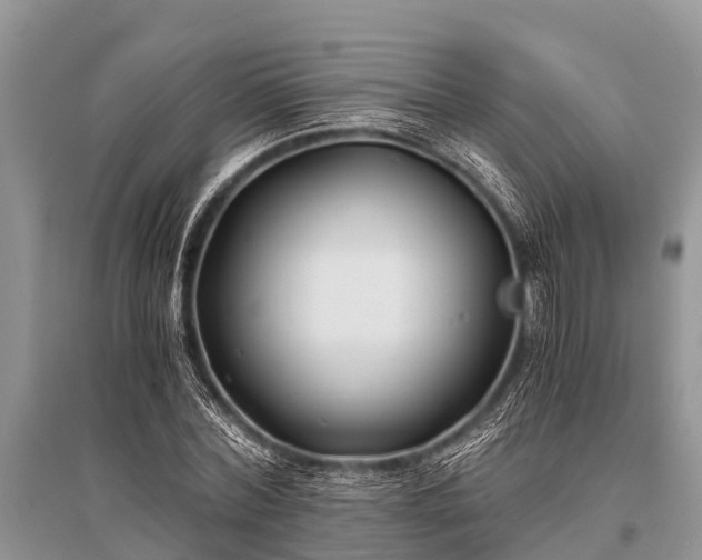 X0000096140780200801251040