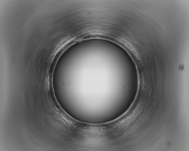 X0000096140782200801251040