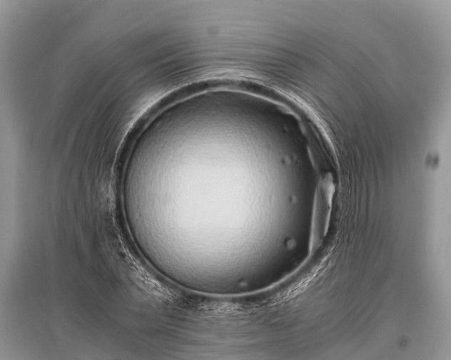 X0000096140783200801251040