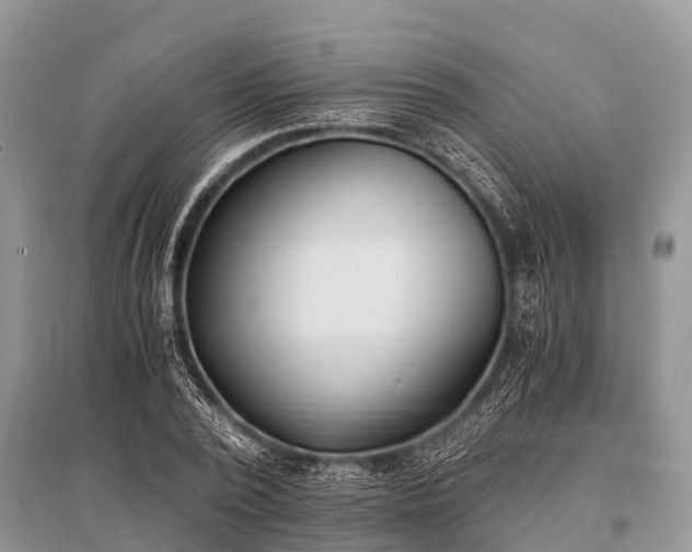X0000096140784200801251040
