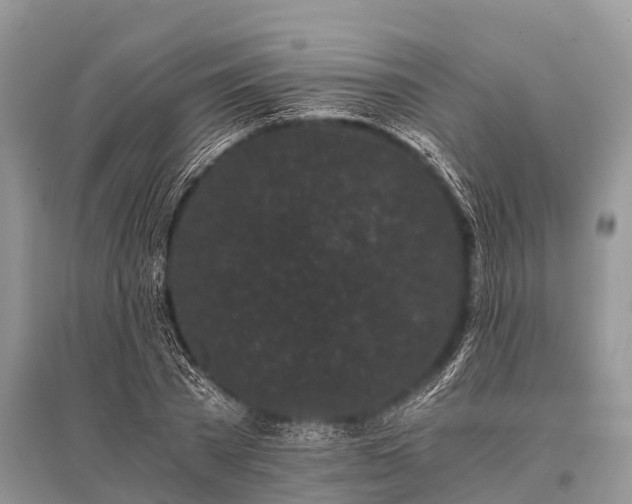 X0000096140785200801251040