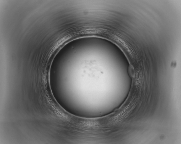X0000096140786200801251040