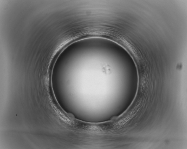 X0000096140787200801251040