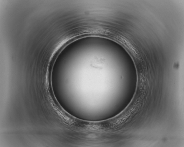 X0000096140788200801251040