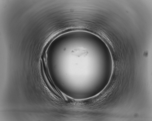 X0000096140789200801251040