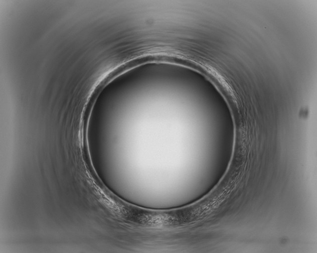 X0000096140791200801251040