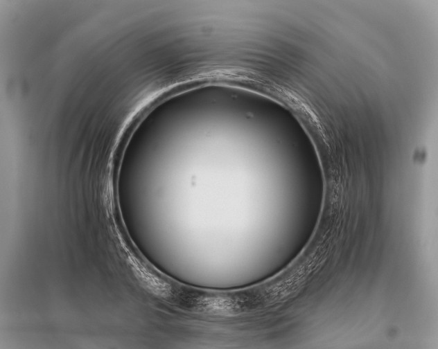X0000096140792200801251040
