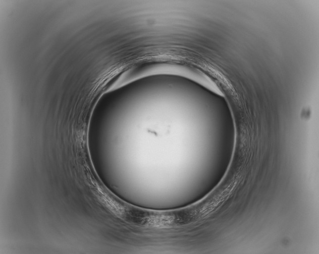 X0000096140793200801251040