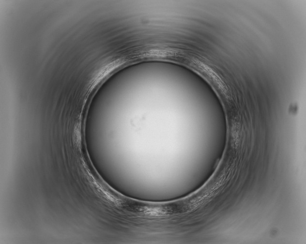 X0000096140794200801251040