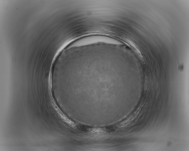X0000096140796200801251040