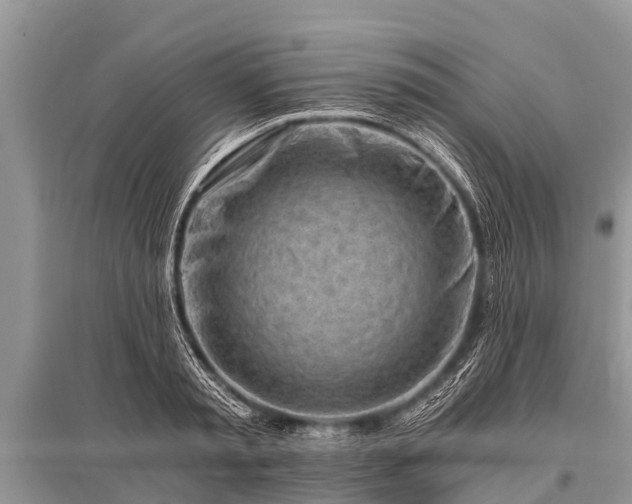 X0000096140797200801251040