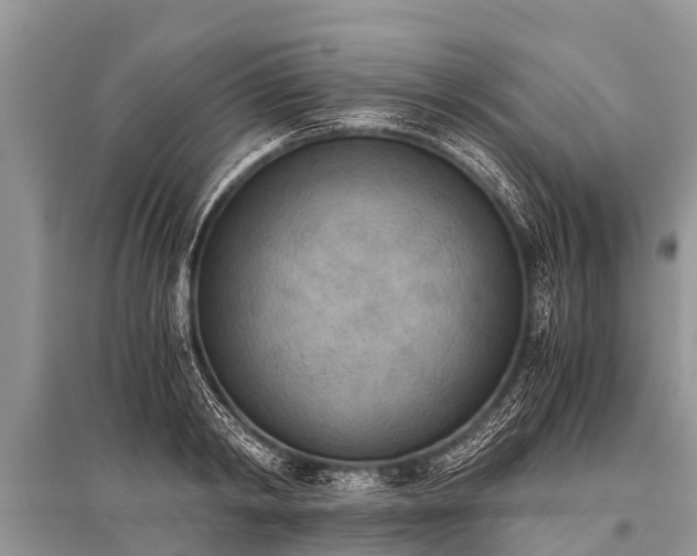 X0000096140798200801251040