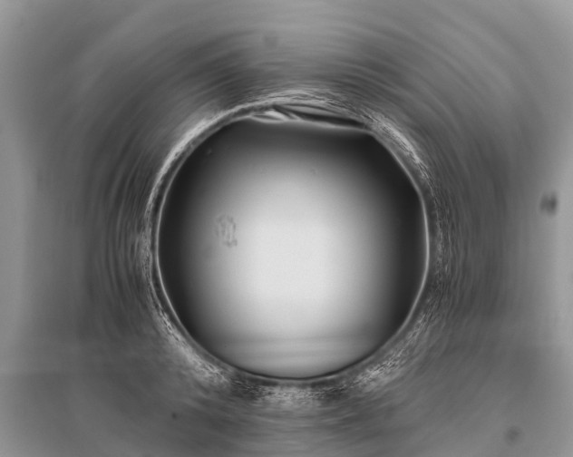 X0000096140800200801251040