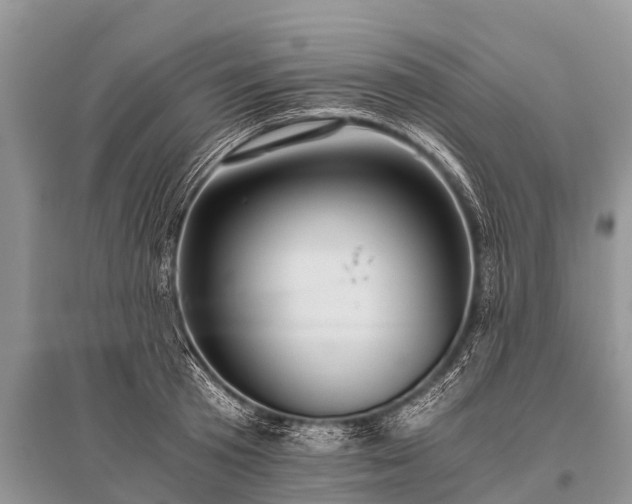 X0000096140801200801251040