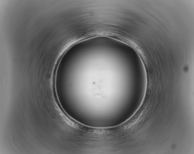 X0000096140803200801251040