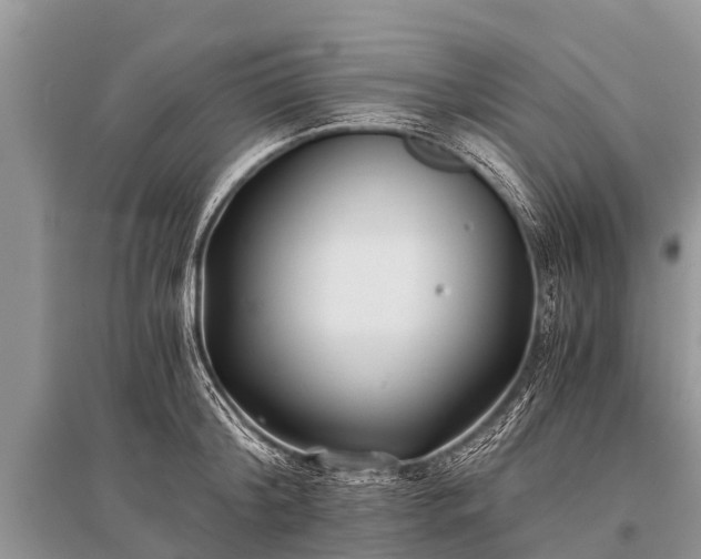 X0000096140804200801251040