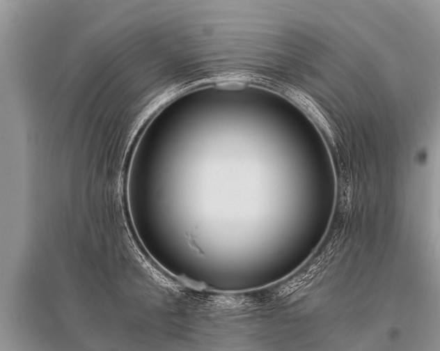 X0000096140805200801251040